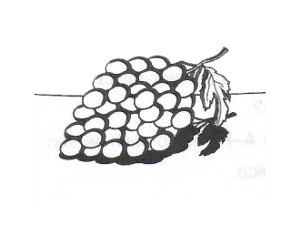 未标题-55.png