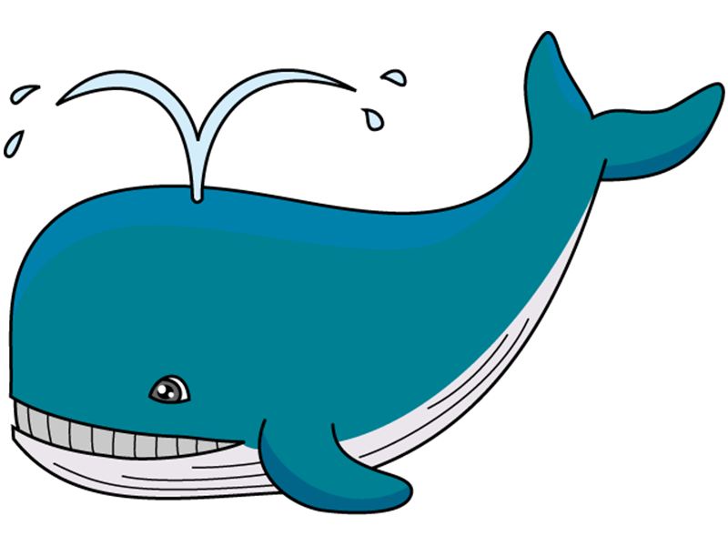 4b_whales.png