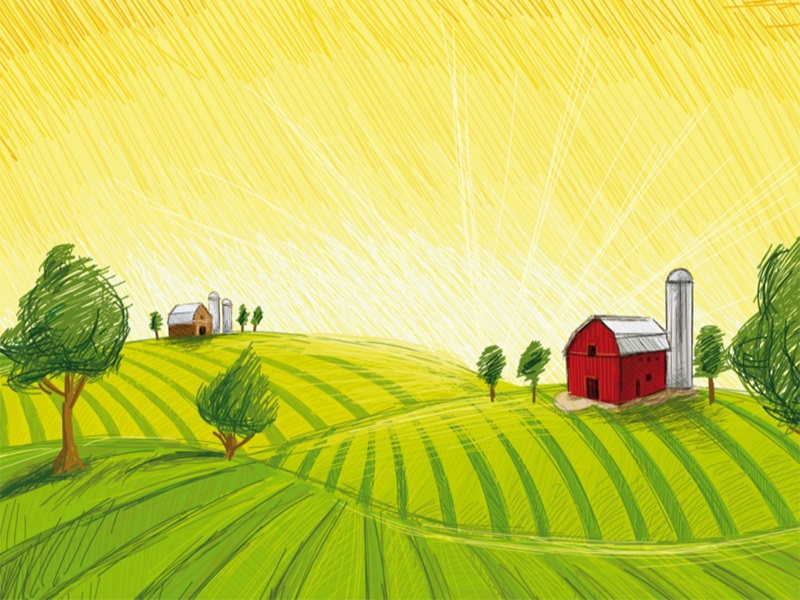 6b_field-.jpg